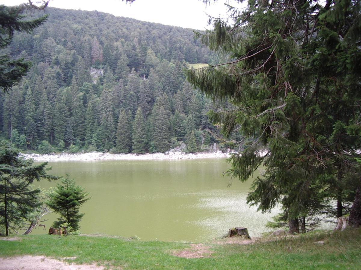 Gite Avec Piscine Chez Vero Breitenbach-Haut-Rhin מראה חיצוני תמונה