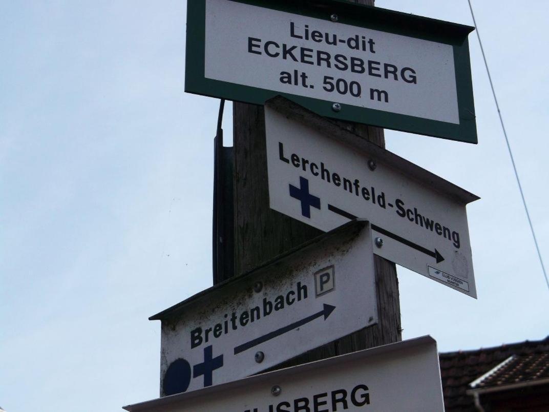 Gite Avec Piscine Chez Vero Breitenbach-Haut-Rhin מראה חיצוני תמונה