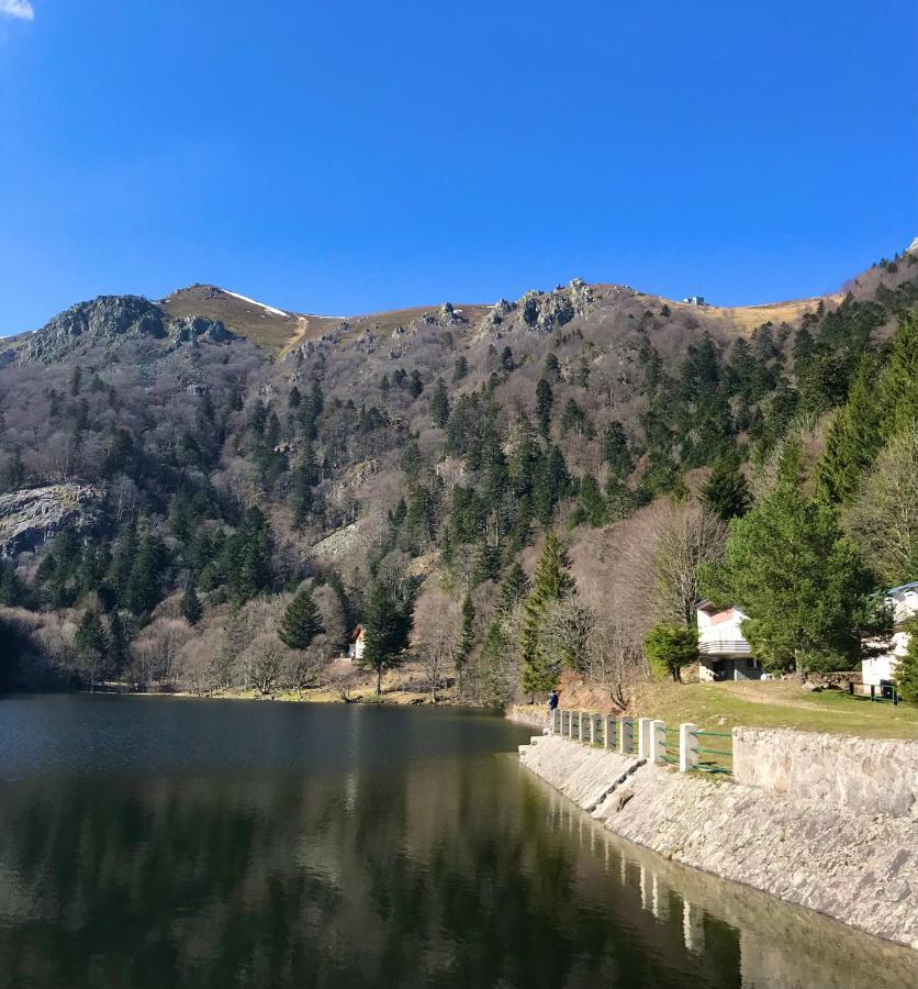 Gite Avec Piscine Chez Vero Breitenbach-Haut-Rhin מראה חיצוני תמונה