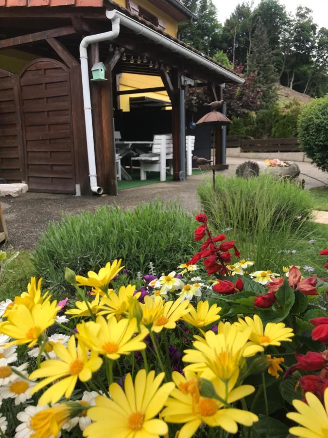 Gite Avec Piscine Chez Vero Breitenbach-Haut-Rhin מראה חיצוני תמונה