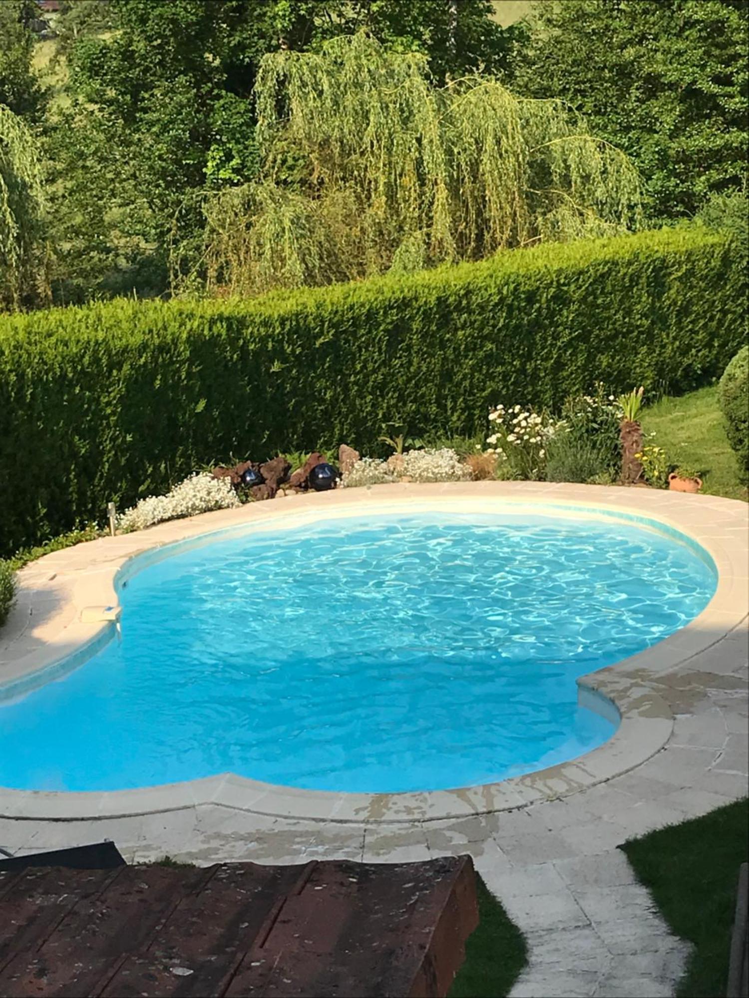 Gite Avec Piscine Chez Vero Breitenbach-Haut-Rhin מראה חיצוני תמונה